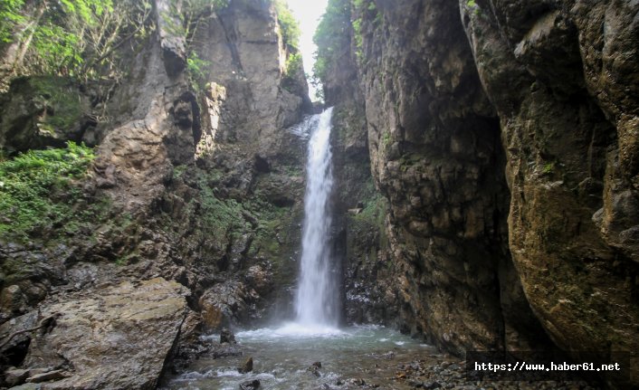 Rize'nin gizli kalmış şelaleleri gün yüzüne çıkmayı bekliyor 