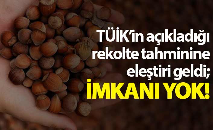 TÜİK'in açıkladığı fındık rekoltesine eleştiri: İmkan vermiyoruz