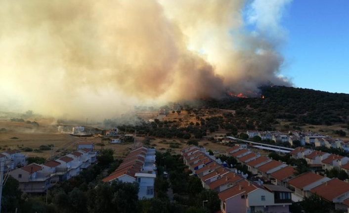 İzmir'deki yangın yazlık evlere doğru ilerliyor