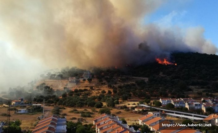 İzmir'de yangın yazlık evlere doğru ilerledi