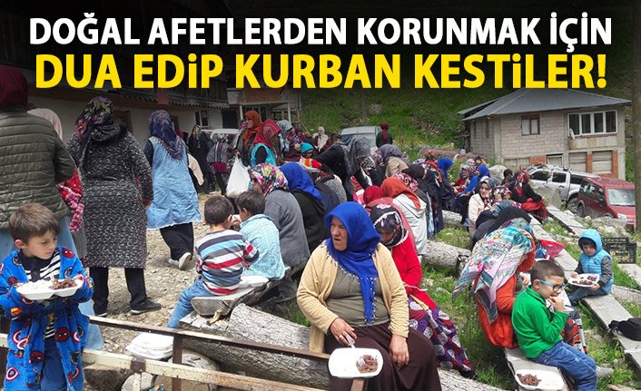 Doğal afetten korunmak için kurban kestiler