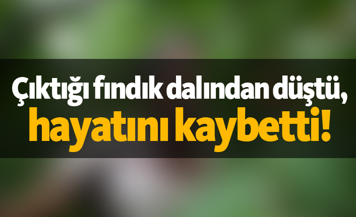 Çıktığı fındık dalından düştü, hayatını kaybetti!