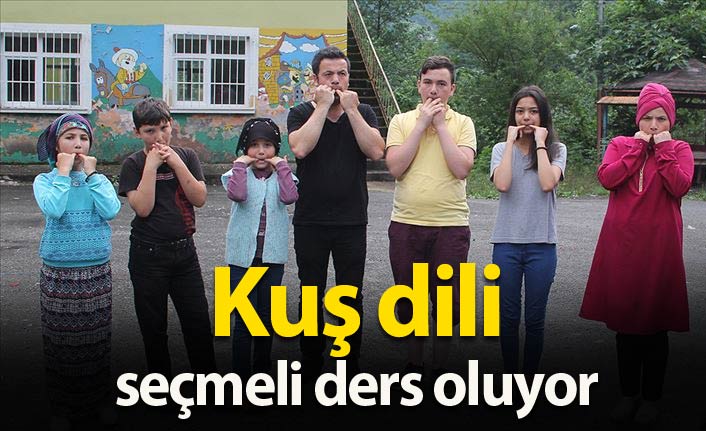 'Kuş dili' seçmeli ders olacak