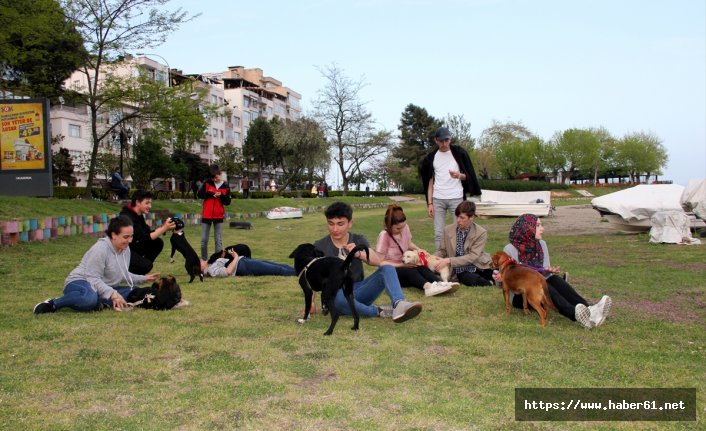 Tedavi ettirdikleri sokak hayvanlarına sıcak yuva buluyorlar