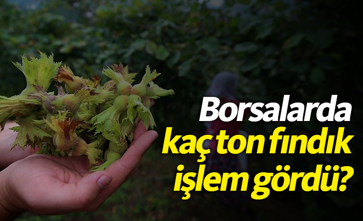 Ticaret borsalarında kaç ton fındık işlem gördü?