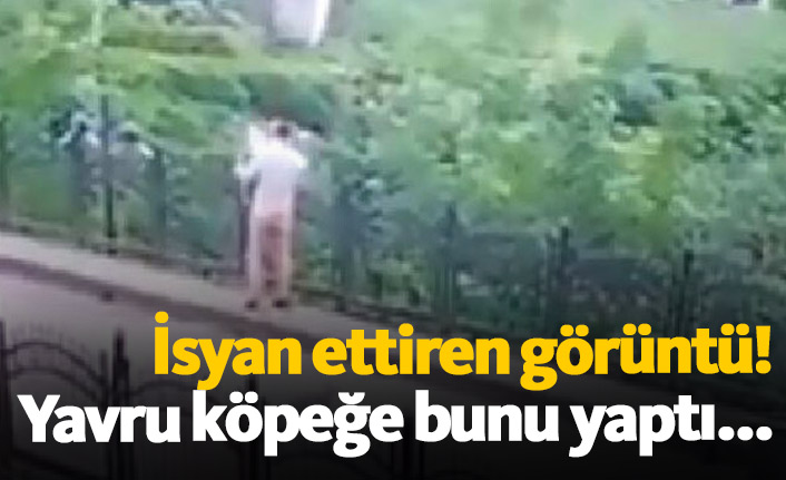 Rize'de isyan ettiren görüntüye para cezası!