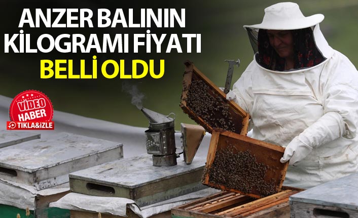 Anzer balının kilogramı fiyatı belli oldu