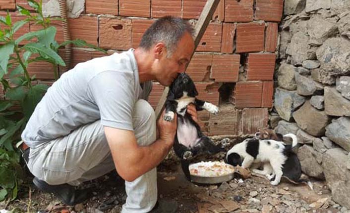 Köpeği dereye atan işçiye 'Hayvanlara Bakma' görevi