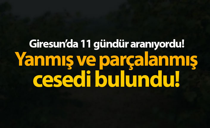 Giresun'da kayıp Şenel'in parçalanmış ve yanmış cesedi bulundu!