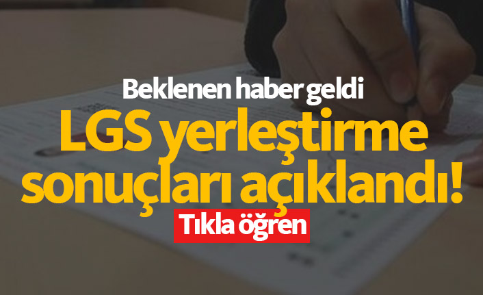 LGS yerleştirme sonuçları açıklandı! 22 Temmuz 2019