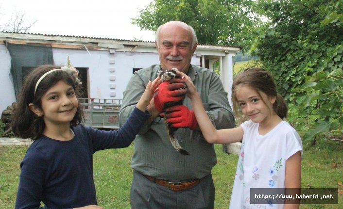 Sansarları eliyle besliyor