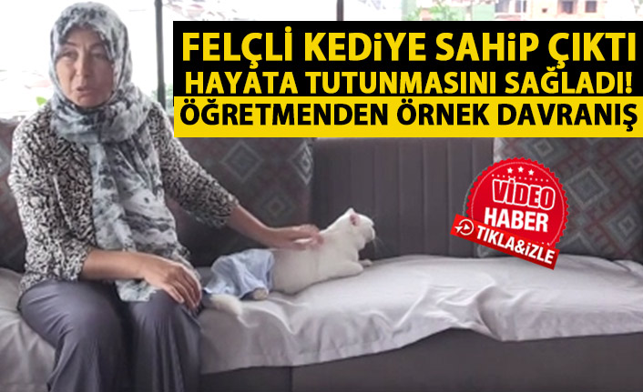 Felçli kedi onun sayesinde hayata tutundu