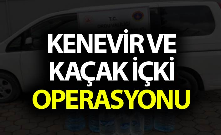 Ordu'da kenevir ve kaçak içki operasyonu