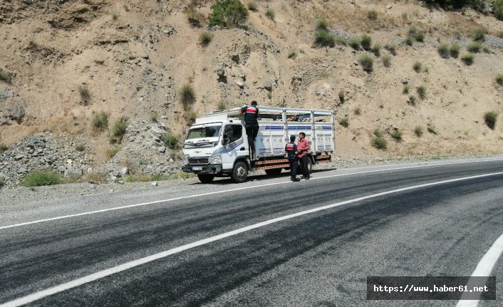 Jandarma kurban denetimlerine başladı