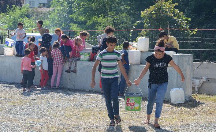 Mevsimlik tarım işçileri Ordu’ya gelmeye başladı