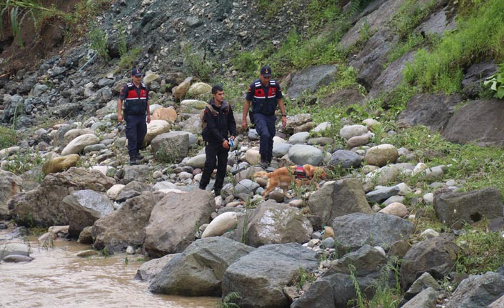 Rize'de selde kaybolan Hüseyin Çapoğlu'nu kır arıyor