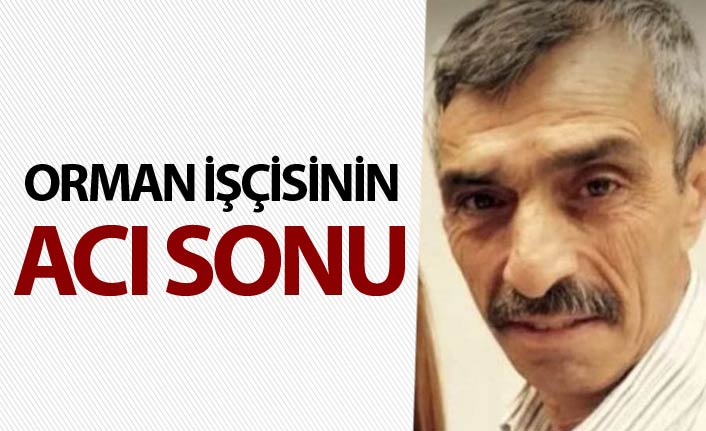 Orman işçisinin acı sonu