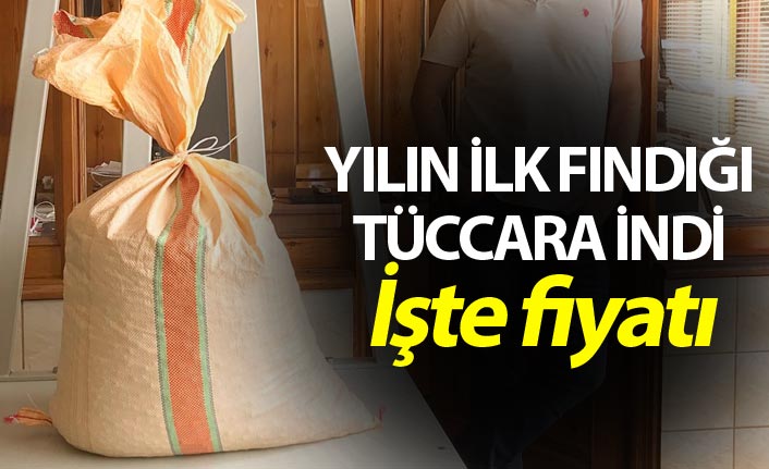 Yılın ilk fındığı tüccara indi! İşte fındık fiyatı