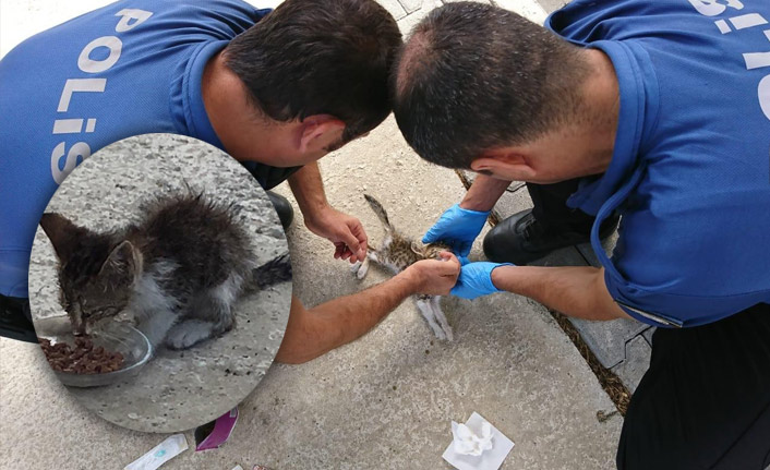 Polis memurları minik kedinin hayatını kurtardı