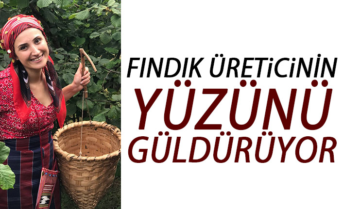 Fındıkta rekolte artışı üreticiyi sevindirdi