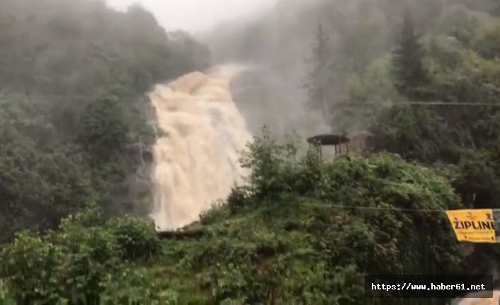 Rize'de yağmur sonrası şelale taştı!