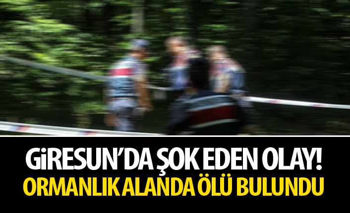 Giresun'da şok eden olay! Ormanlık alanda erkek cesedi!