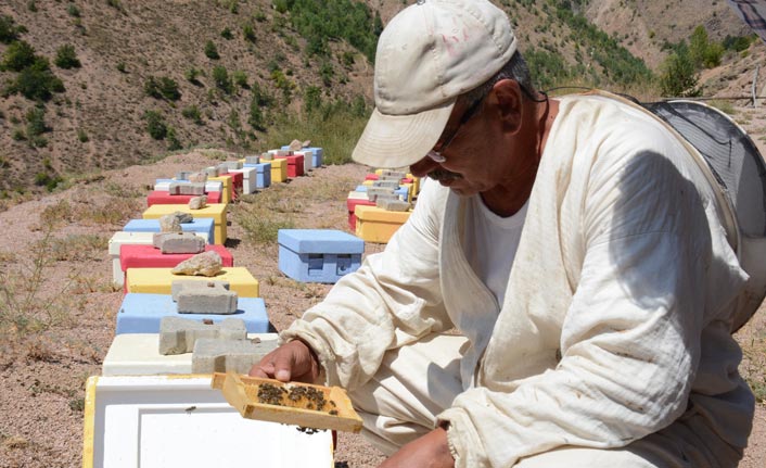 Gümüşhane’de bal verimi son 10 yılın en düşük seviyesinde