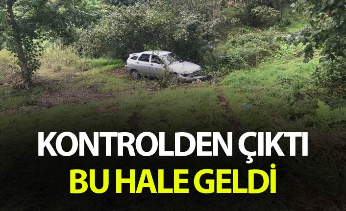 Kontrolden çıkan otomobil otokorkuluklara çarptı