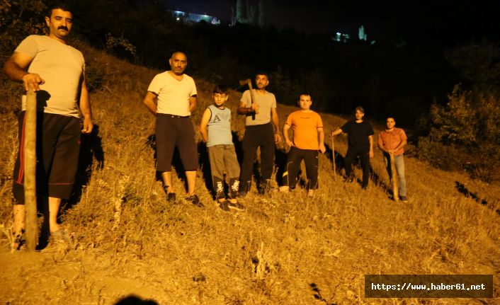 Karadeniz'de şehrin ortasında ayı nöbeti tutuyorlar!