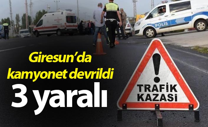 Giresun'da kamyonet devrildi - 3 yaralı