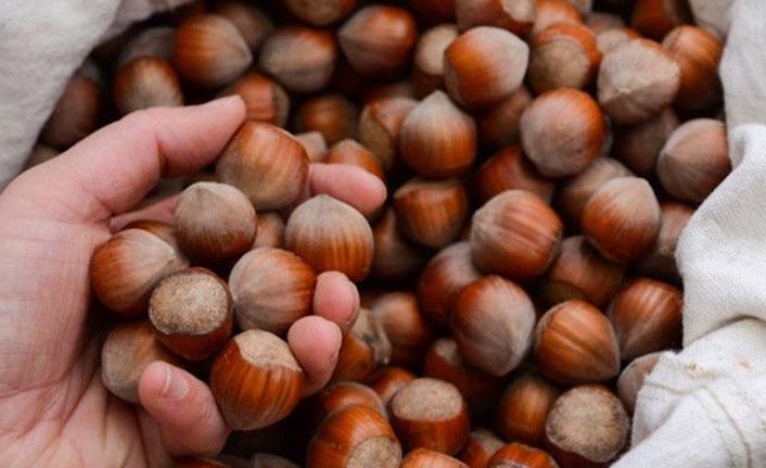 Fındık fiyatları bakın neden geriledi - Açıklama geldi