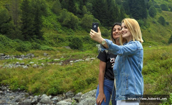 Rize'deki Elevit Yaylası turistlerin gözdesi