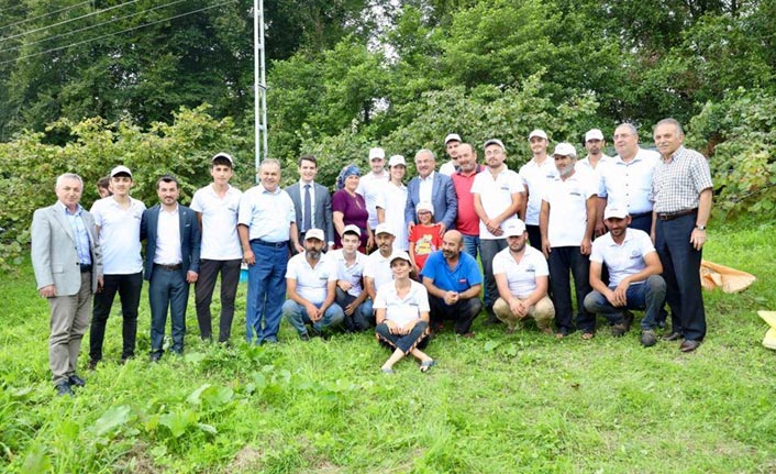 Sigortalı fındık işçileri olumlu sonuç verdi