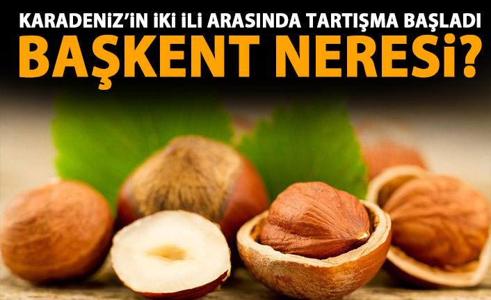 Fındık iki ilin arasını açtı! Başkent neresi?