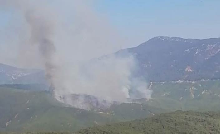 Antalya'nın Kaş ilçesinde orman yangını. 2 Eylül 2019