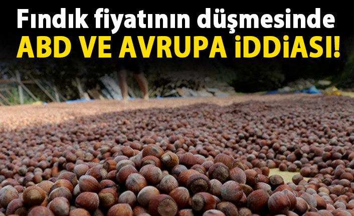 Fındık fiyatının düşmesinde ABD ve Avrupa iddiası!