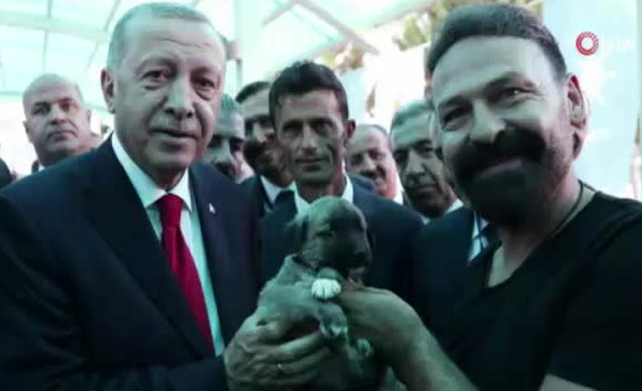 Erdoğan’a Kangal yavrusu hediye edildi