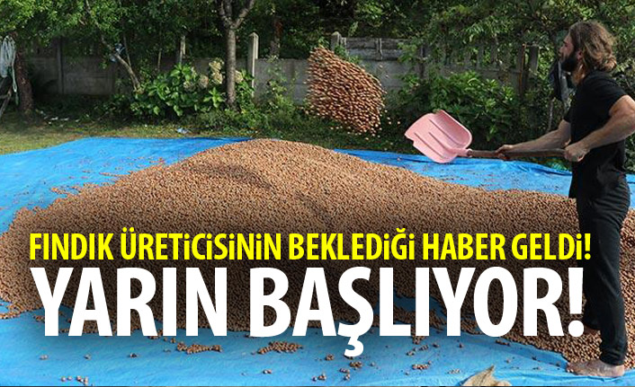 Fındık üreticisinin beklediği haber geldi! Yarın Başlıyor!