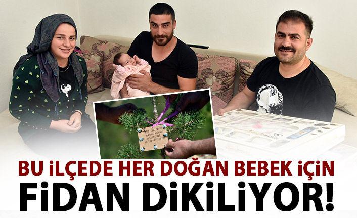 Bu ilçede her doğan bebek için fidan dikiliyor