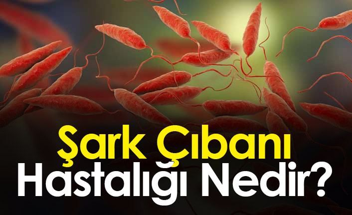 Şark Çıbanı Hastalığı Nedir? Şark Çıbanı belirtileri nelerdir?