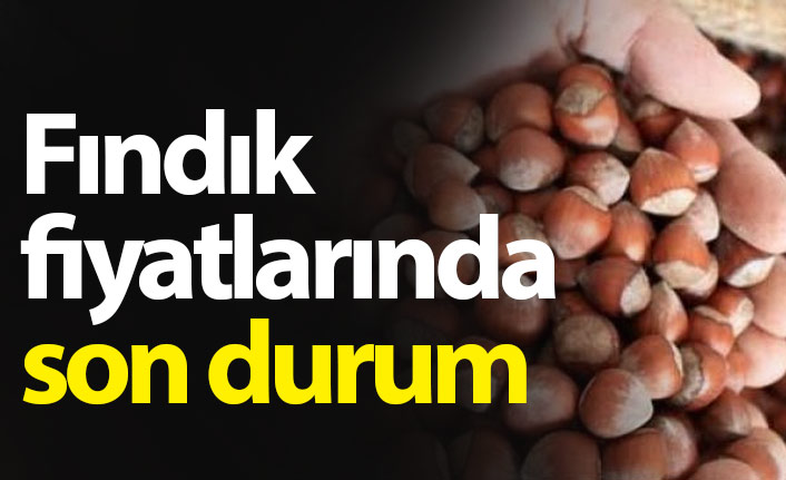 Fındık fiyatları ne kadar? Fındık fiyatında son durum - 13 Eylül 2019