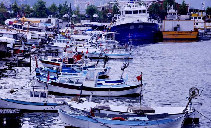 "Karadeniz alarm veriyor, balık sezonu Kasım'da kapanabilir"