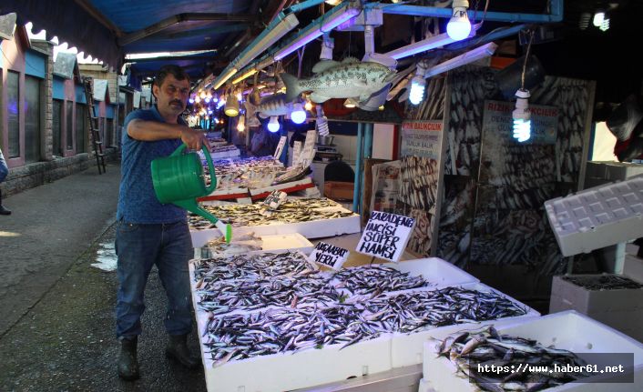 Karadeniz'de su ısındı balık azaldı!