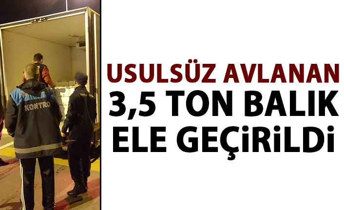 Yetişkin olmadan avlanan 3,5 ton balık ele geçirildi