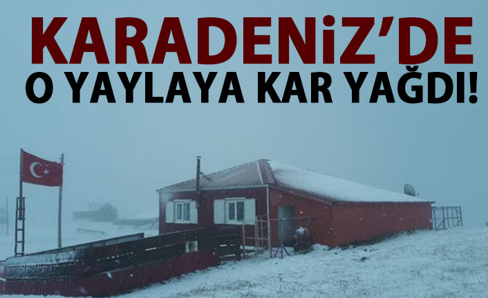 Karadeniz'de o yaylaya kar yağdı