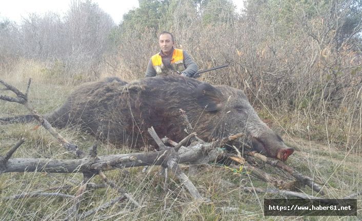 270 kiloluk domuzu vurup fotoğraf çektirdi!