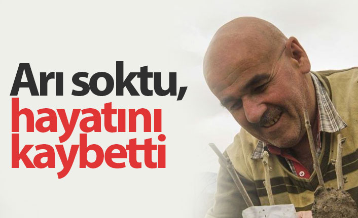 Arı soktu, hayatını kaybetti