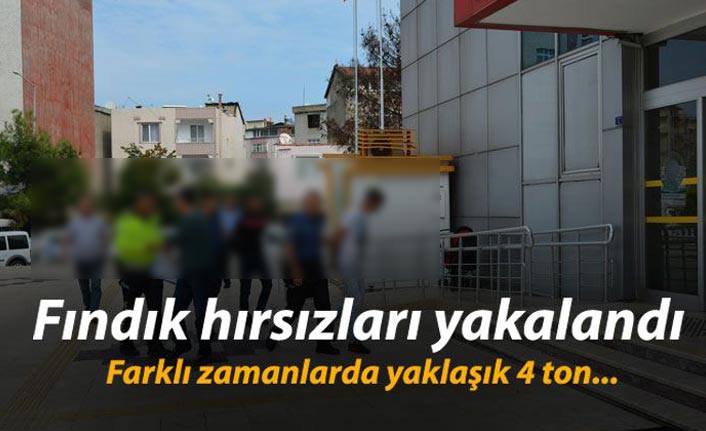 Fındık hırsızları yakalandı - 27 Eylül 2019