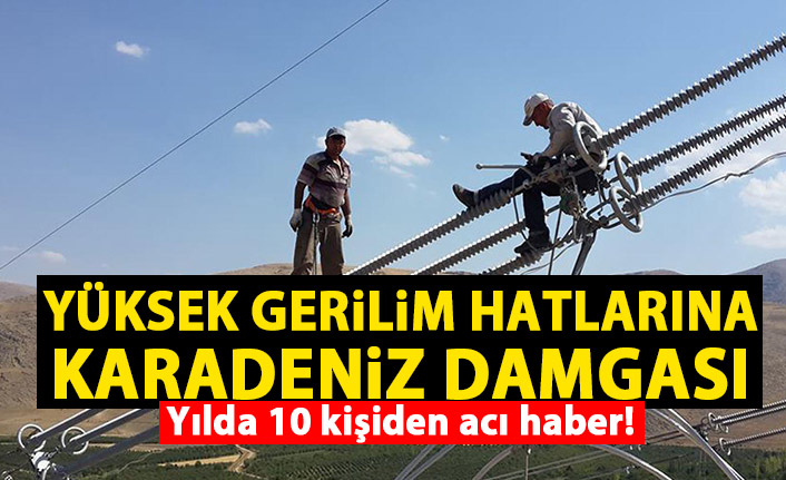 Dünyadaki yüksek gerilim hatlarına Karadeniz damgası