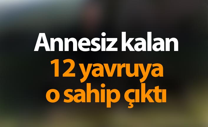 Annesiz kalan 12 yavruya o sahip çıktı